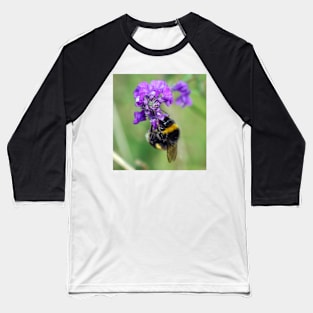 Bumblebee Baseball T-Shirt